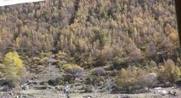 obrázek - 四姑娘山 Mount Siguniang