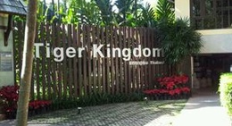 obrázek - Tiger Kingdom (คุ้มเสือ)
