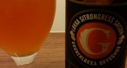 obrázek - øyberget