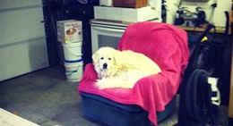 obrázek - J & J Farms