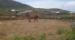 obrázek - L'isola nell'isola