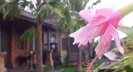 obrázek - Genah melukat Sebatu