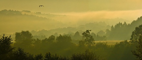 obrázek - Rożnów