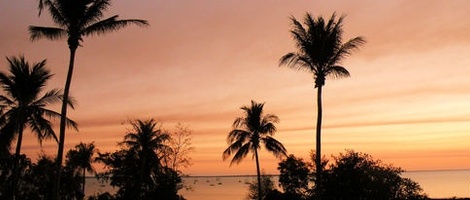 obrázek - Stuart Park