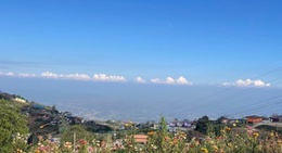 obrázek - Phu Thap Boek (ภูทับเบิก)