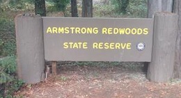 obrázek - Armstrong Redwoods State Natural Reserve