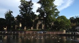 obrázek - Carshalton Ponds