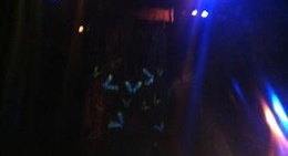 obrázek - The Quincy Music Theatre