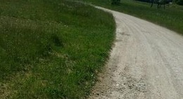 obrázek - Kaltenes shop