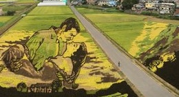 obrázek - 田舎舘村第1田んぼアート