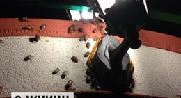 obrázek - Жукин