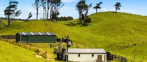 obrázek - Whakamarama