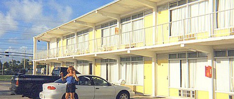 obrázek - Big Pine Key