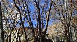 obrázek - タンク山