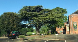 obrázek - Droitwich Golf And Country Club