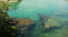 obrázek - Laguna y Cenote Yal-Ku