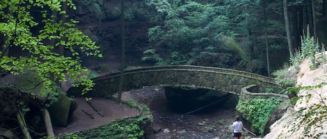 obrázek - Cedar Grove