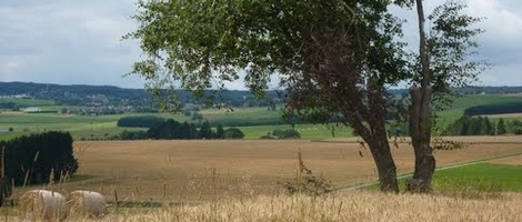 obrázek - Tenneville