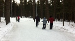 obrázek - Shannon Hall