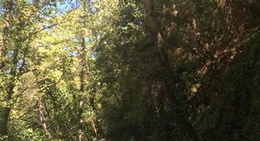 obrázek - Manolates