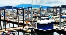 obrázek - Don D. Statter Harbor