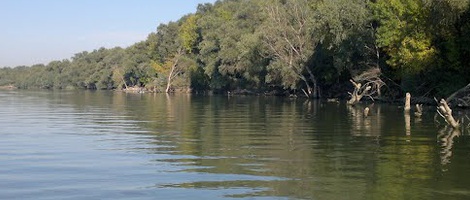 obrázek - Băltenii de Sus