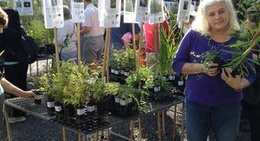 obrázek - Pennant Hills Oval