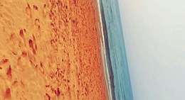 obrázek - Beach Club