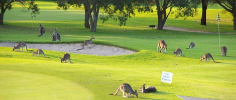 obrázek - Pambula Beach