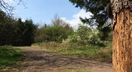 obrázek - Landesblick