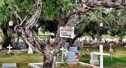 obrázek - San Benito, TX