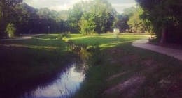 obrázek - Ferry Park