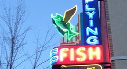 obrázek - Flying Fish