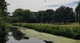 obrázek - Sky Blue Pasture