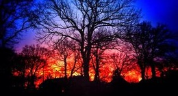 obrázek - Emlichheim