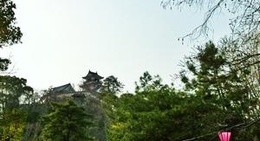 obrázek - Kochi castle (高知城)