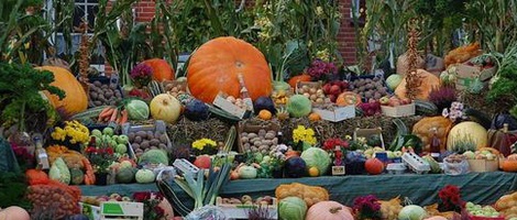 obrázek - Hagermarsch