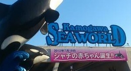 obrázek - Kamogawa Seaworld (鴨川シーワールド)