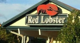 obrázek - Red Lobster