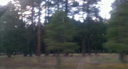 obrázek - City of Bellemont