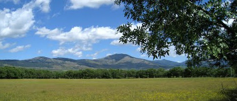 obrázek - Guadarrama