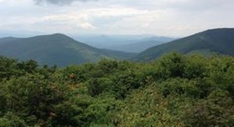 obrázek - Elk Knob State Park