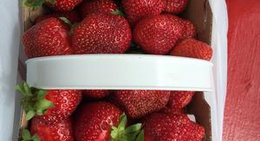 obrázek - Ferme R. Giguère