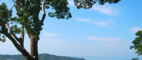 obrázek - La Sabana