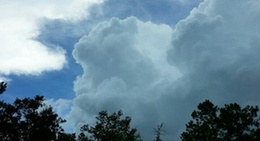 obrázek - Munchkin's Maid Service