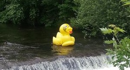 obrázek - Bridgeton, ME