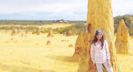 obrázek - Cervantes