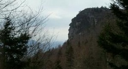 obrázek - Trailhead for Profile Trail - Grandfather Mountain