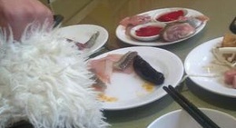 obrázek - 乐来乐好