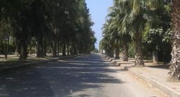 obrázek - Deniz Yolu